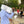 Load image into Gallery viewer, THE FANATIC | IVY CITY PICKUP