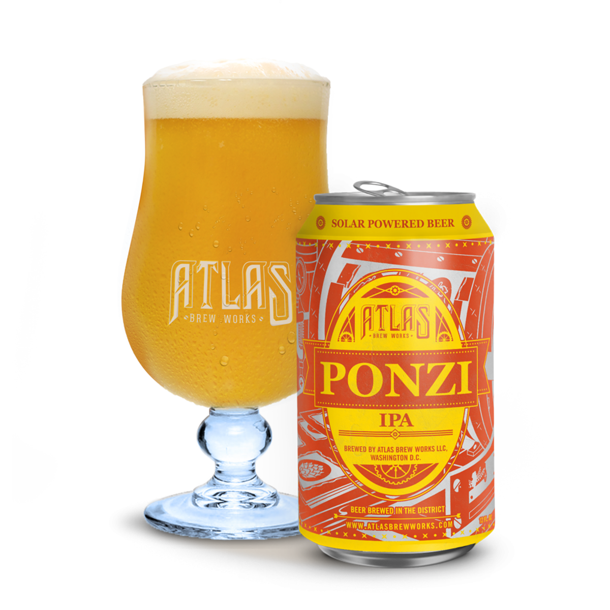 Ponzi Ipa
